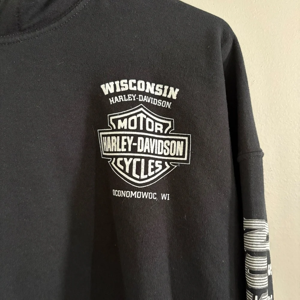 Harley-Davidson Men's Lightning Crest Pullover Hooded Sweatshirt - Picture 4 of 10